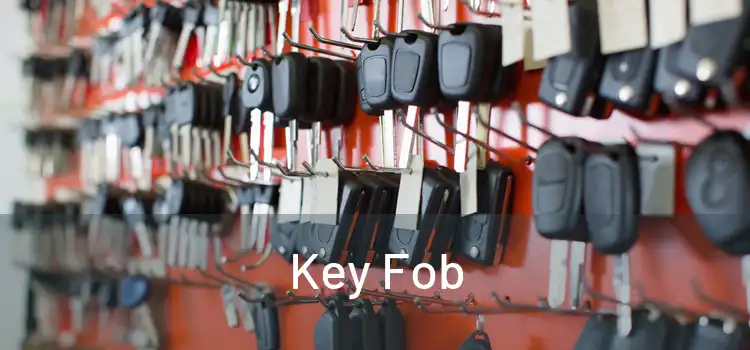  Key Fob 